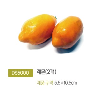 DS5000 레몬(2개)